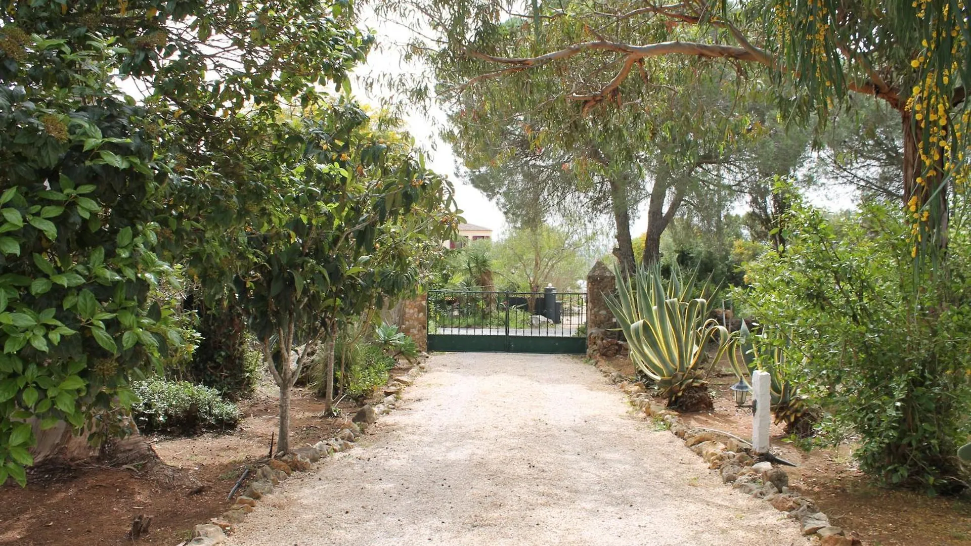 Villa Alegria Lagos Portugal