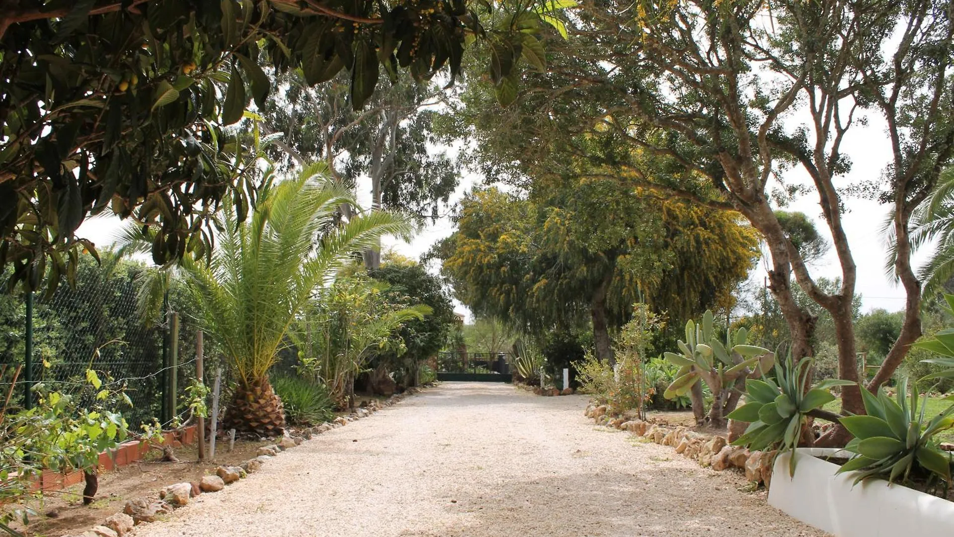 Villa Alegria Lagos Portugal