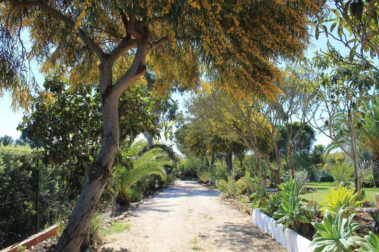 Villa Alegria Lagos